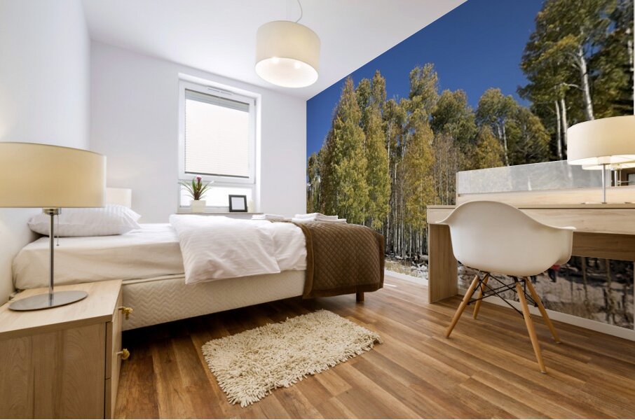 IMG 9898 Mural print