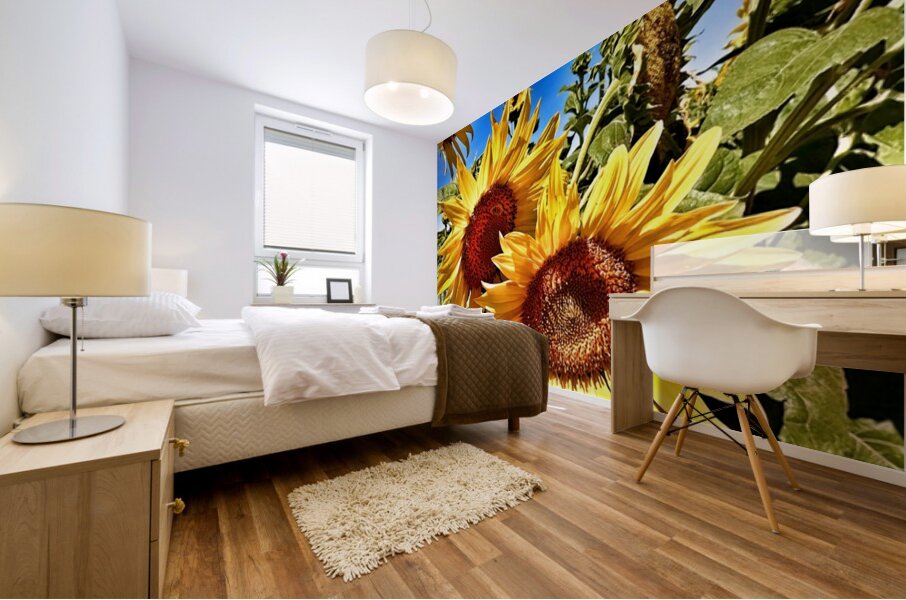 Sunflower Drama Mural print