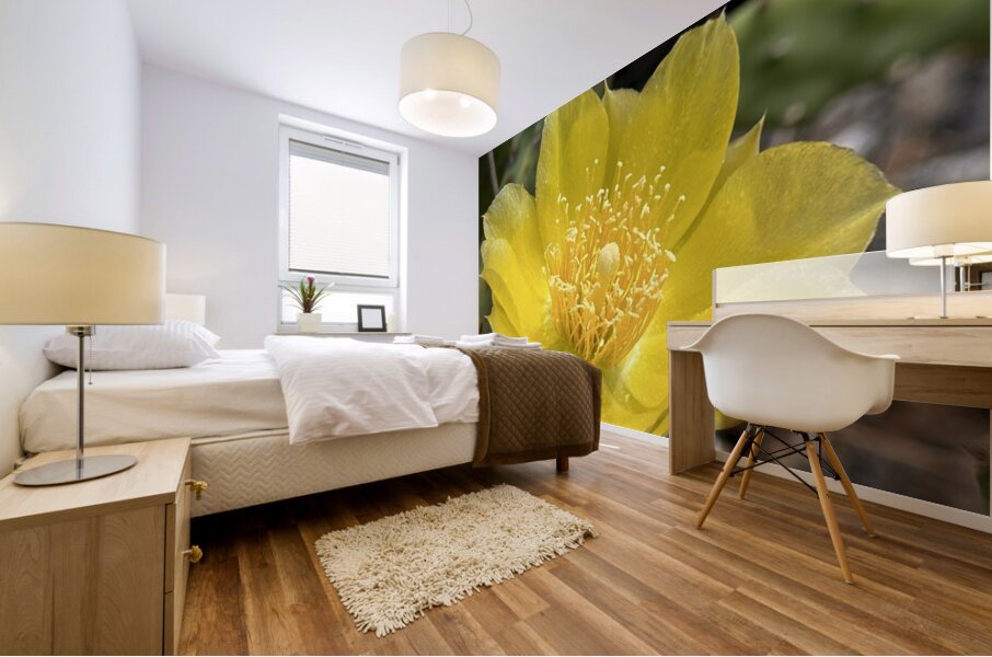 Prickly Pear Bloom -2 Mural print