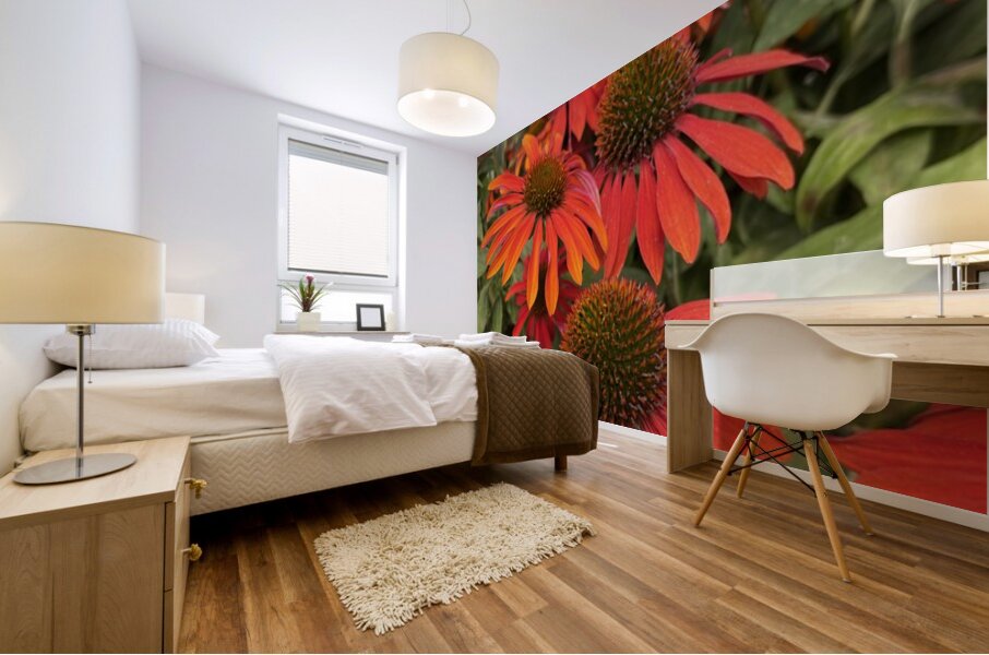 Coneflower Mural print