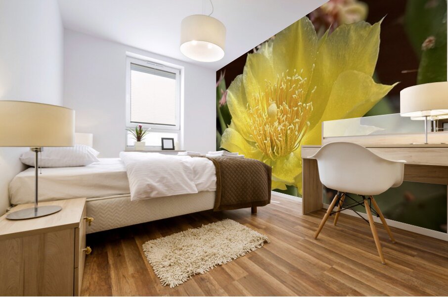 Prickly Pear Bloom -1 Mural print