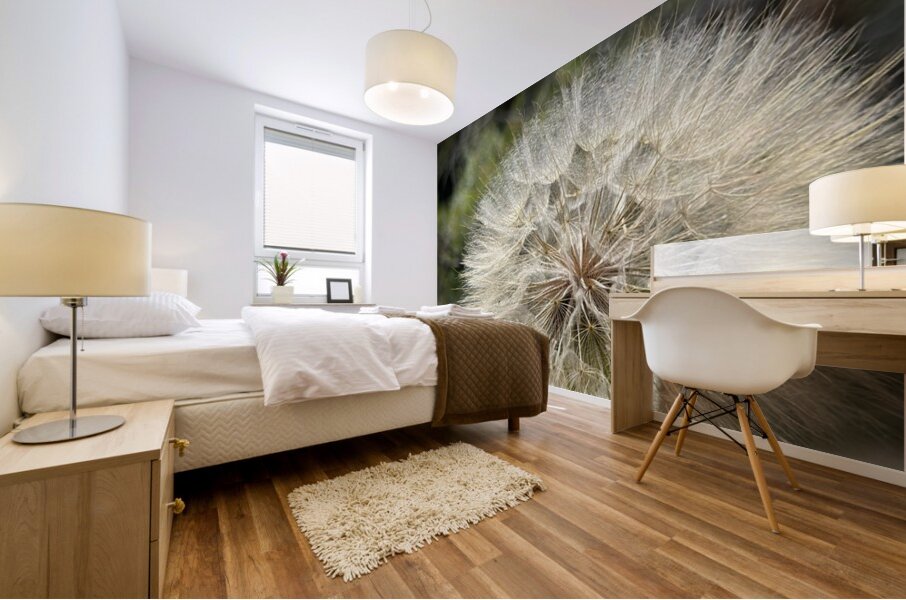 Dandelion Head Mural print