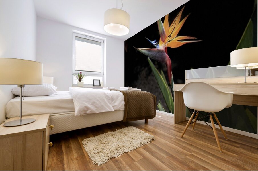 Bird of Paradise Mural print