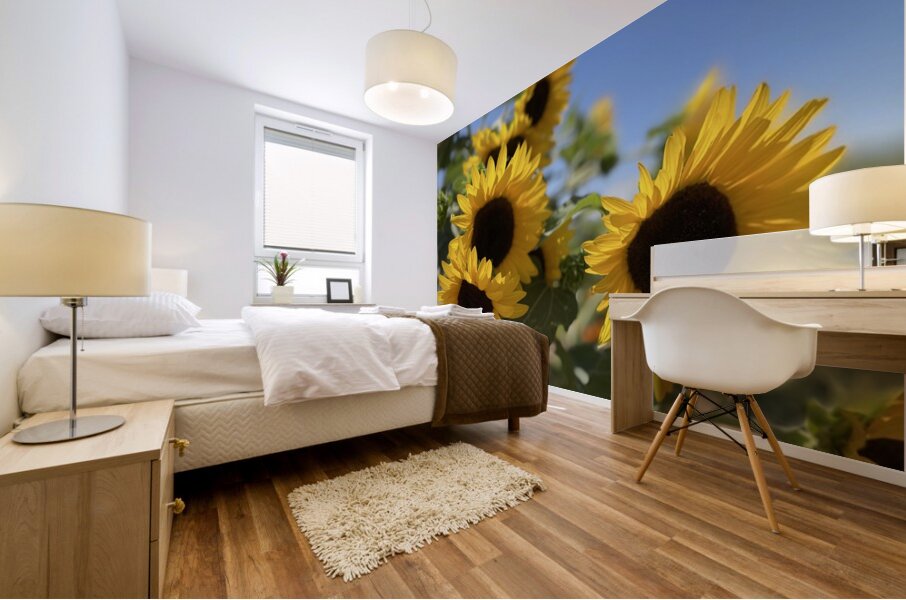 Happy Sunflowers Mural print