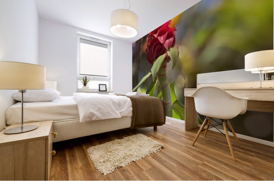 Spiral Ginger Mural print