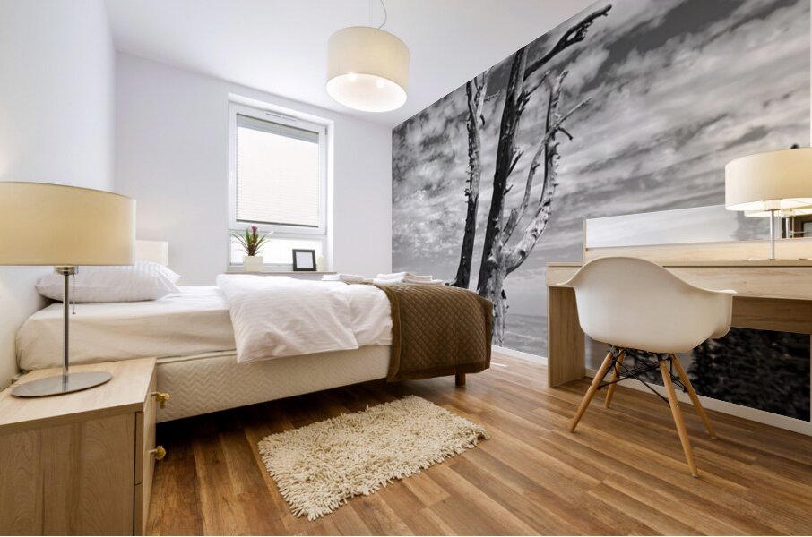 Wenatchee Overlook - black and white Mural print