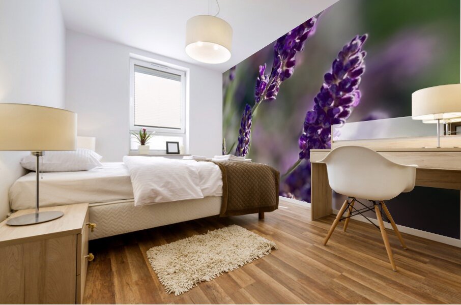Lavender  Mural print