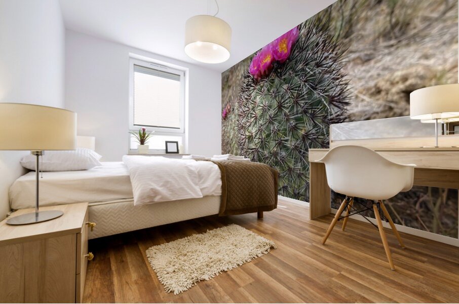 Barrel Cactus Mural print