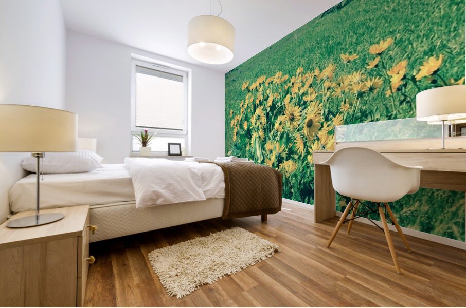 Balsam Root Mural print