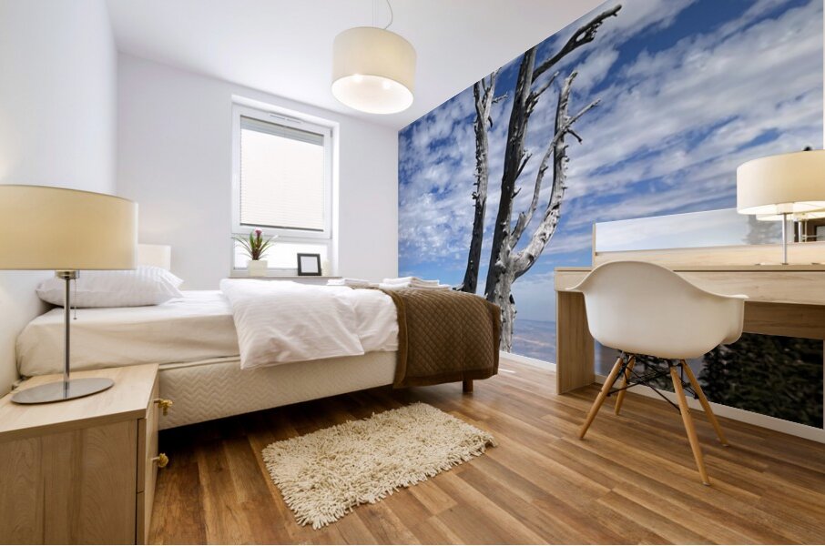 Wentachee Overlook - color Mural print