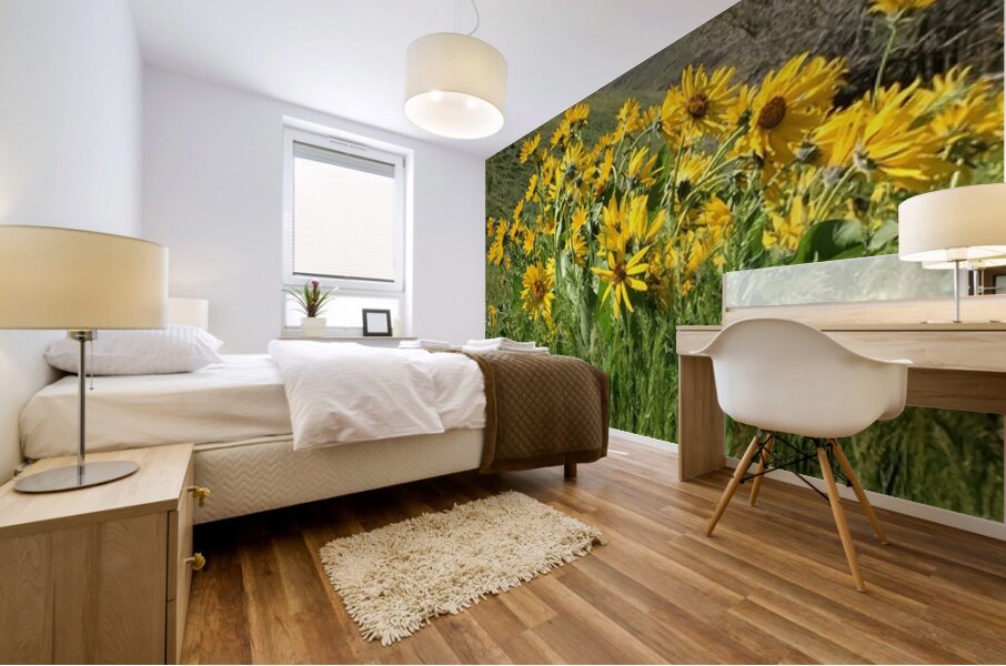 Balsam Root Wildflowers Mural print
