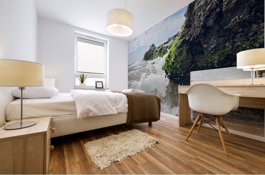 IMG 0842 Mural print