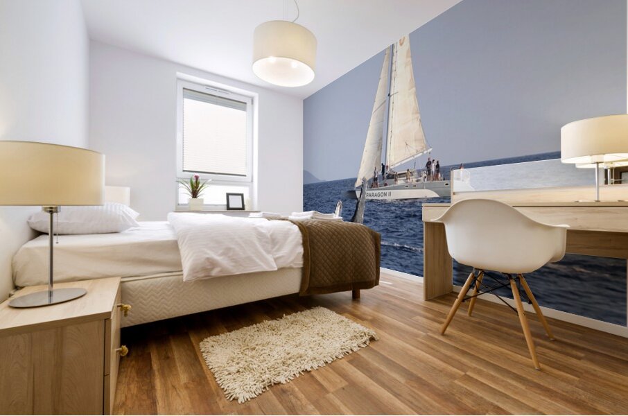 IMG 3372 Mural print