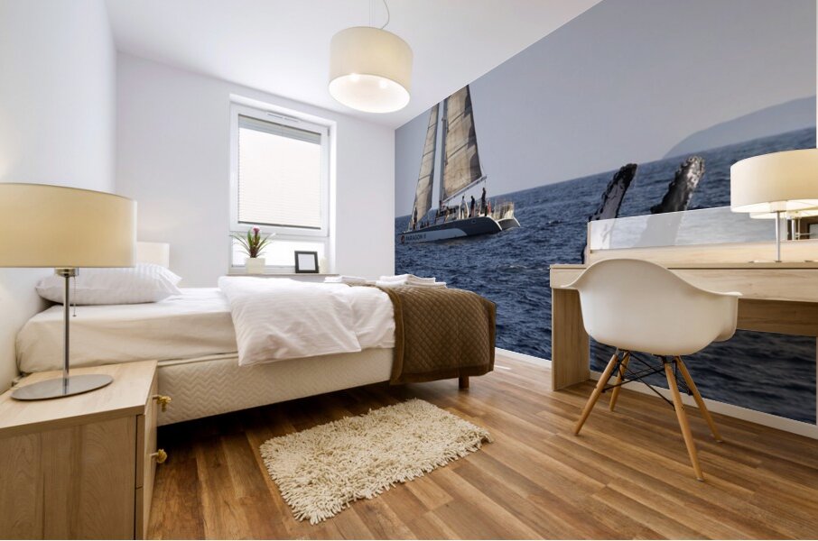 IMG 3370 Mural print