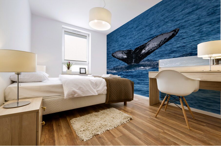 DSC09153 Mural print