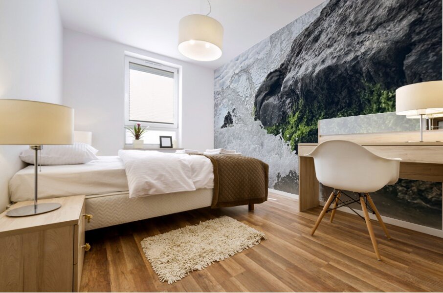 IMG 0828 Mural print