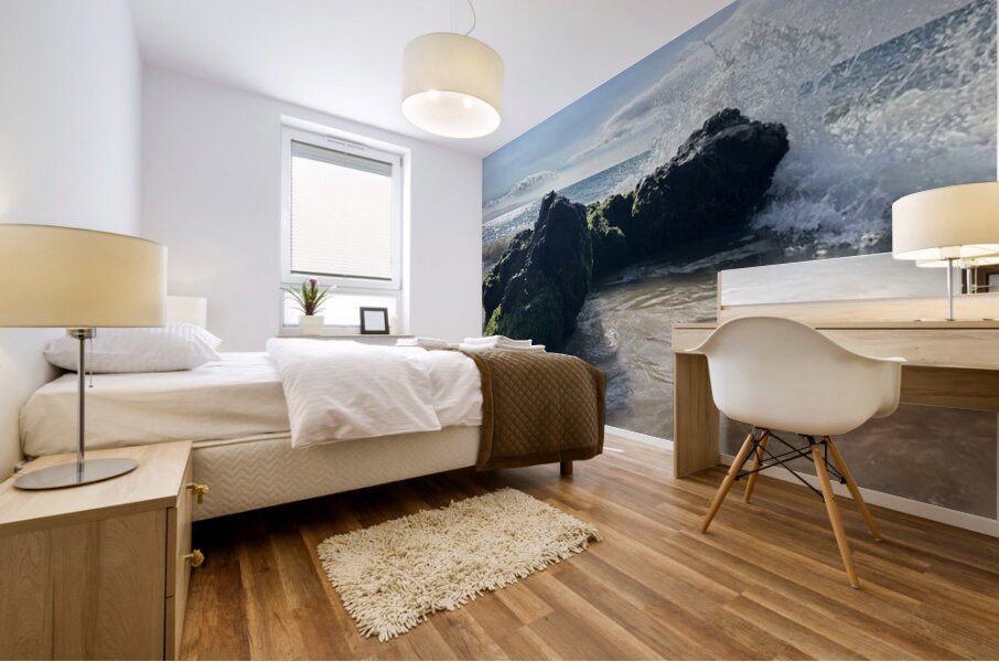 Maui on the Rocks Mural print