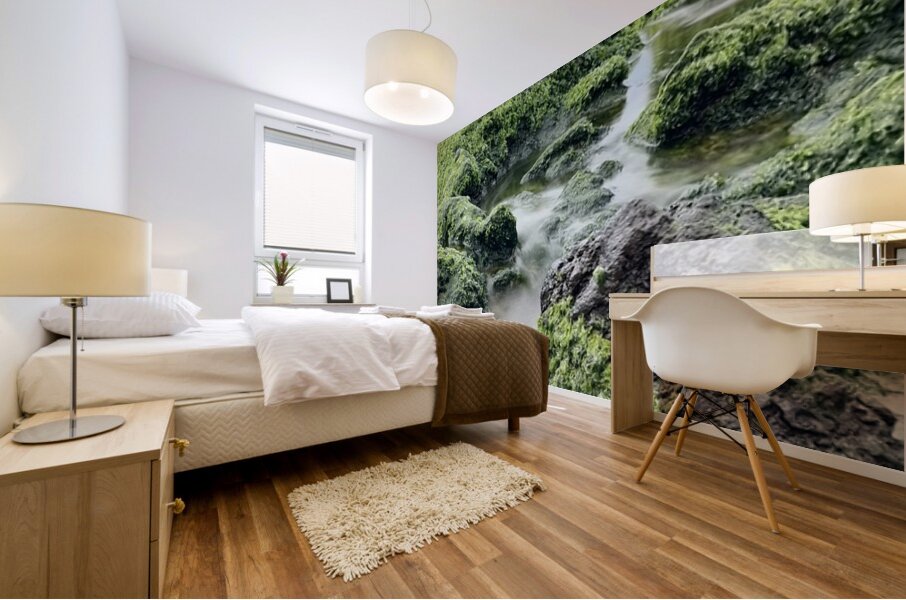 IMG 0839 Mural print