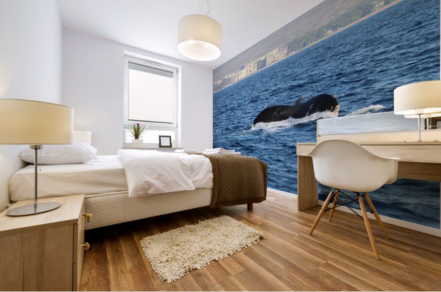 IMG 3391 Mural print