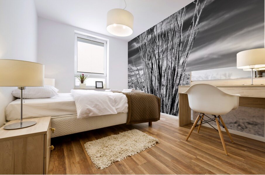 Desert Drama Mural print