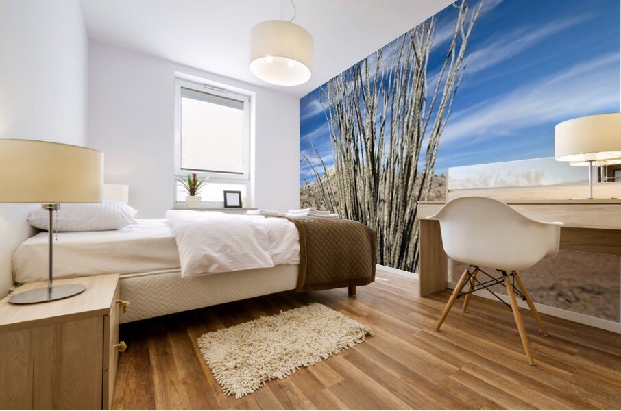Ocotillo  Mural print