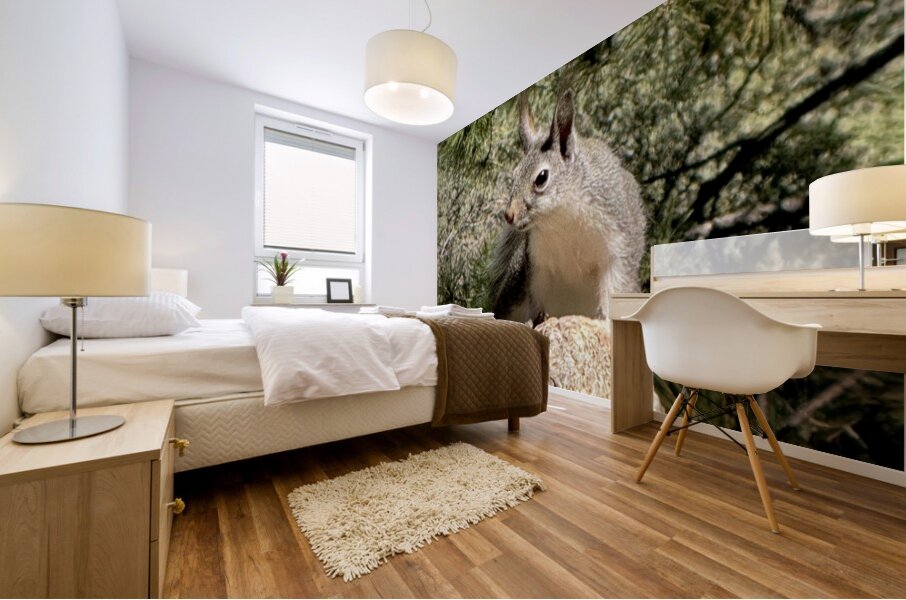 Albert’s Squirrel -1 Mural print