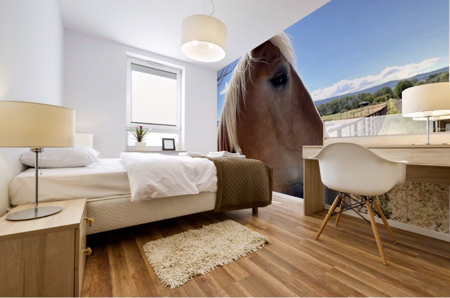 Hay Girl  Mural print