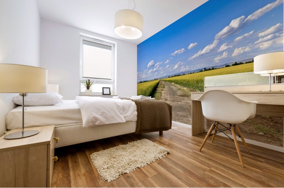 Country Road Mural print