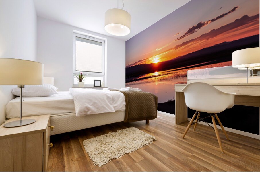 Havasu National Wildlife Refuge 7-18-25 Mural print