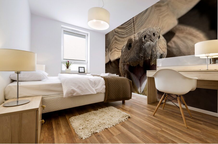 Happy Tortoise Mural print