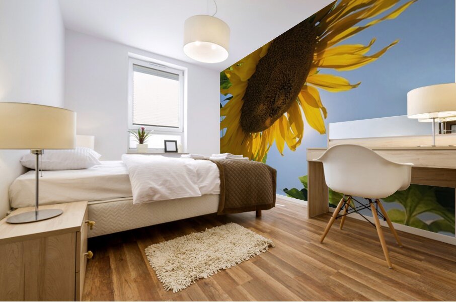 Sunflower Love Mural print