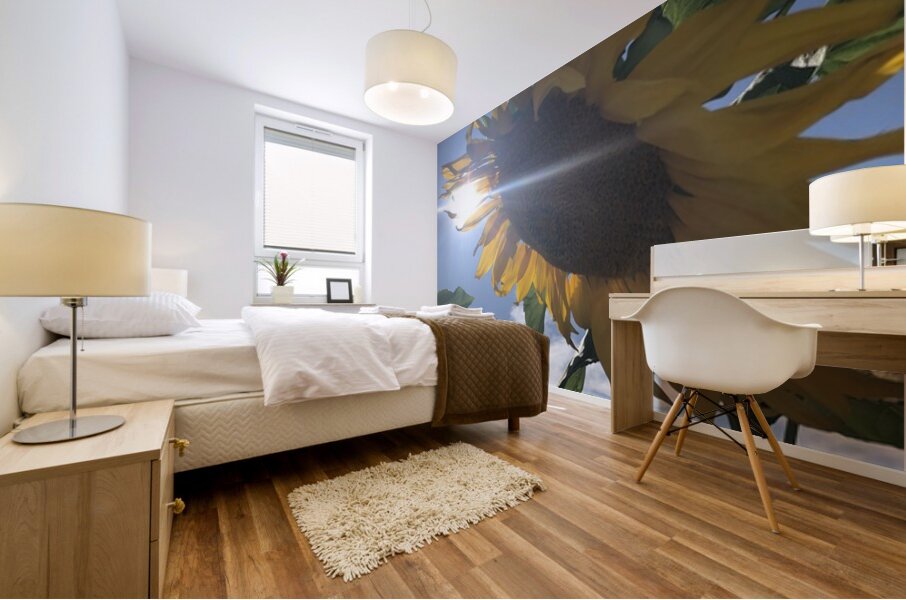 Sunflower and Sunlight Mural print