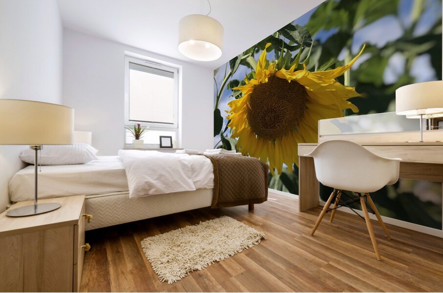 Sunflower Love -2 Mural print