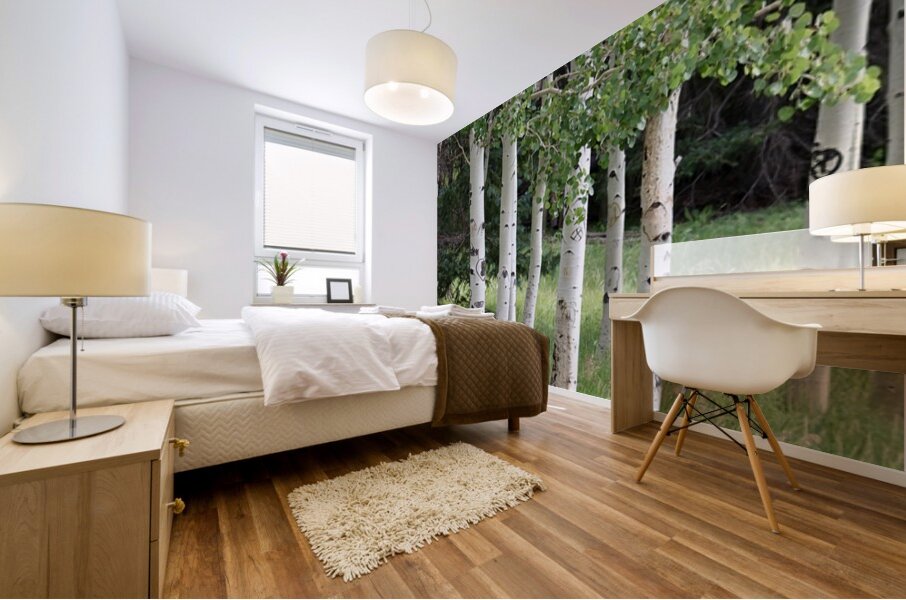 The Earth has music for those who listen. Aspens in Flagstaff Mural print