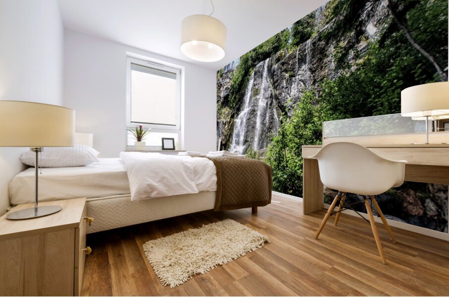 Silver Falls - Entiat Washington Mural print