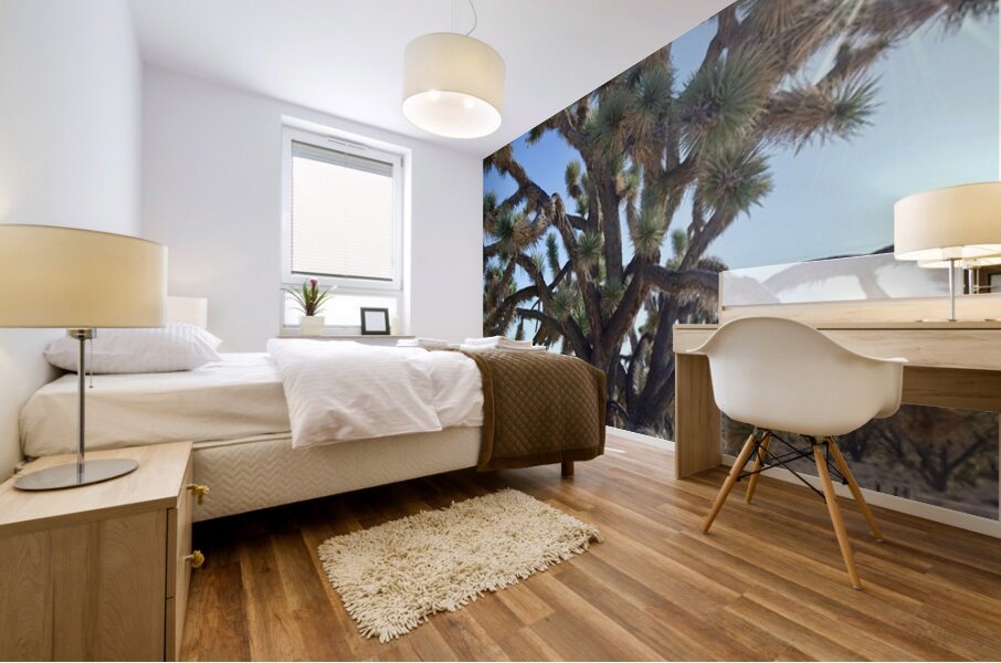 Joshua Tree w sunlight Mural print