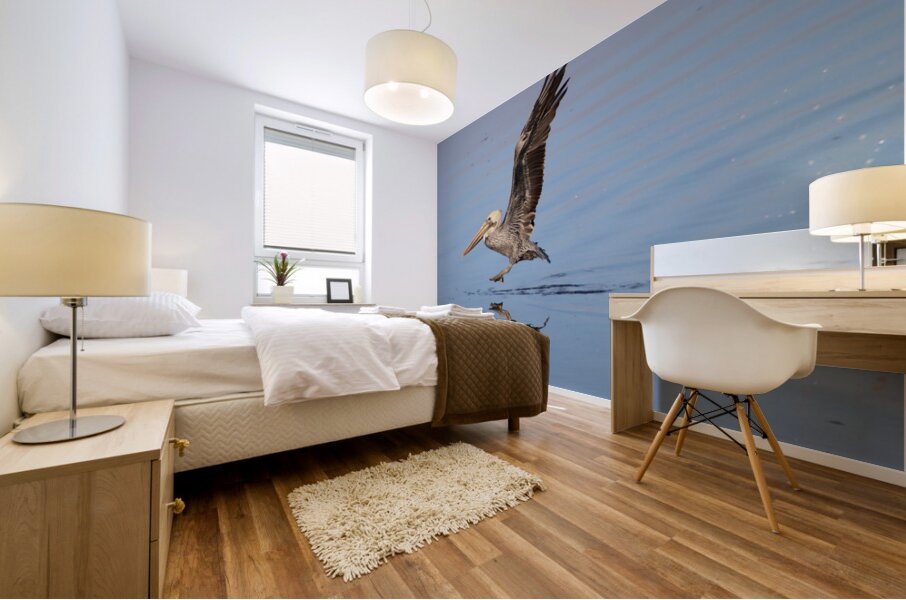 Baja Brown Pelicans - 2 Mural print