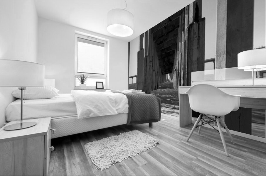 The pier at Ocean Beach San Diego - black and white Mural print