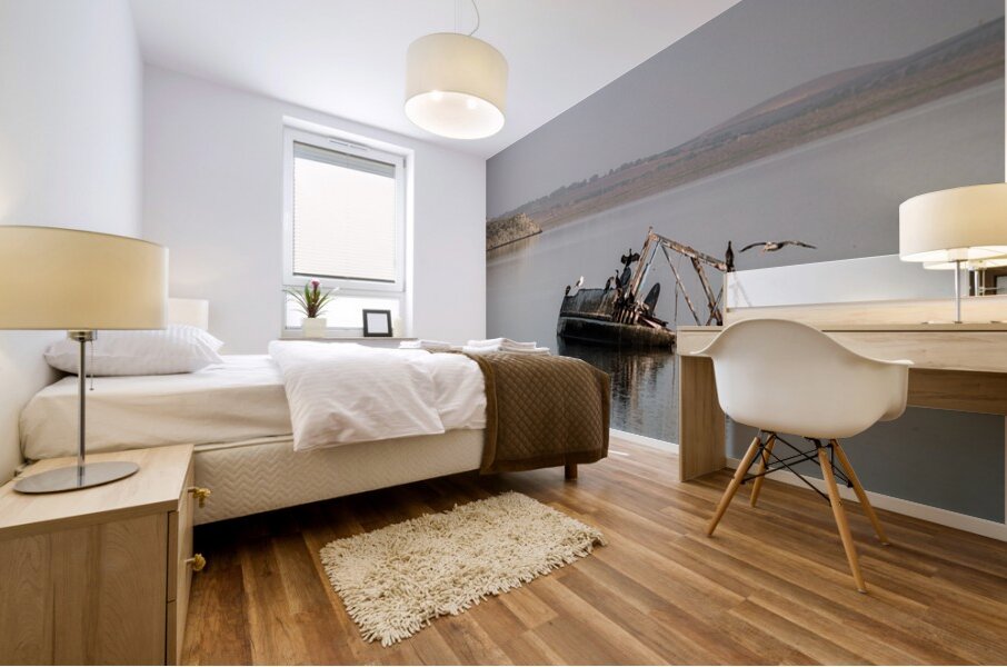 Silent Wreckage on Still Waters Mural print