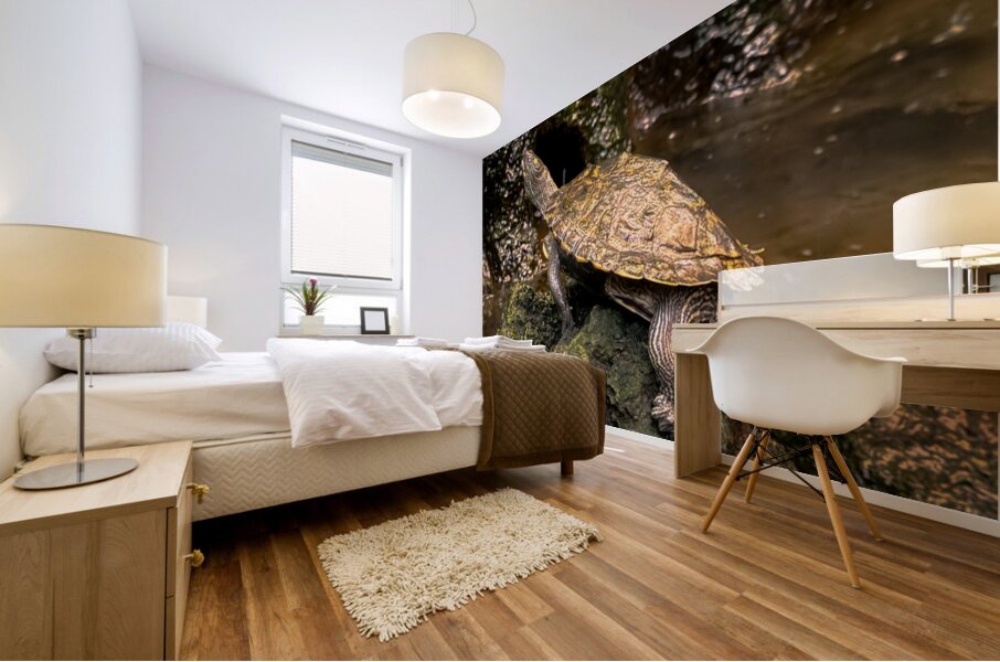 Map Turtle Mural print