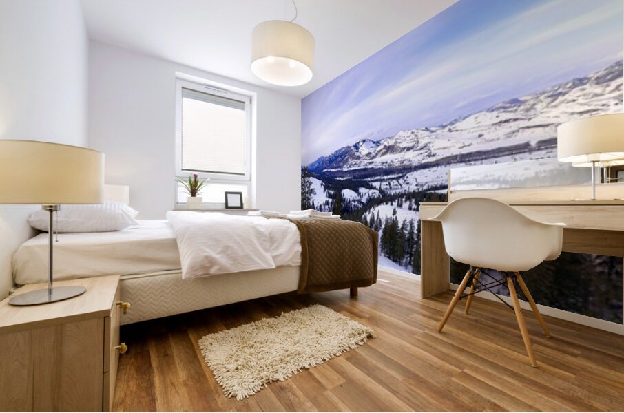 Winter in Washington Mural print