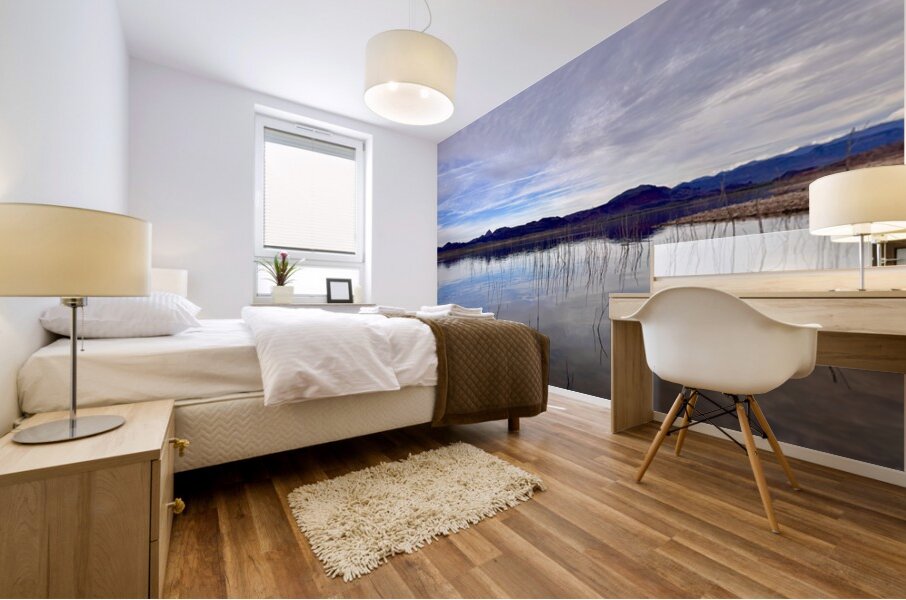 Alamo Lake Arizona -2 Mural print