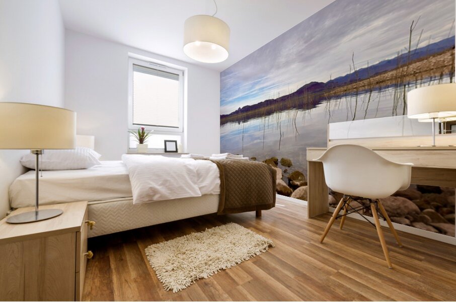 Alamo Lake Arizona -1 Mural print