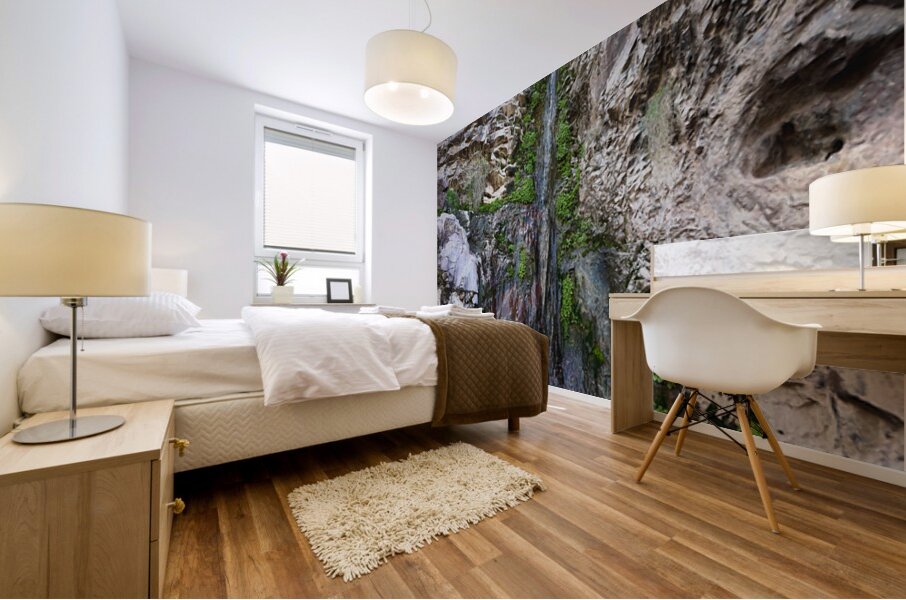 Tres Amigos waterfall in the Tres Alamos wilderness  Mural print