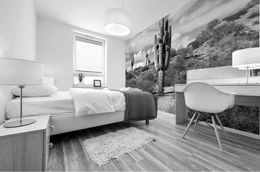 Fine Art Desert Mural print