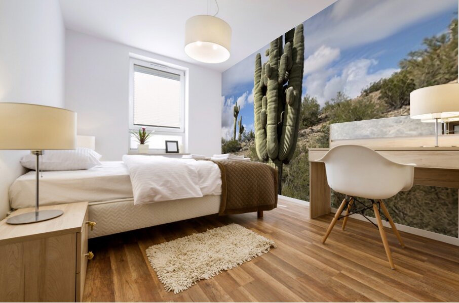 Old Man Saguaro Mural print