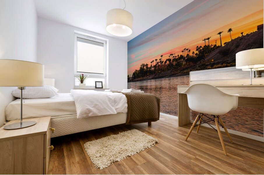 Colorado River - Needles CA Mohave Valley AZ Mural print