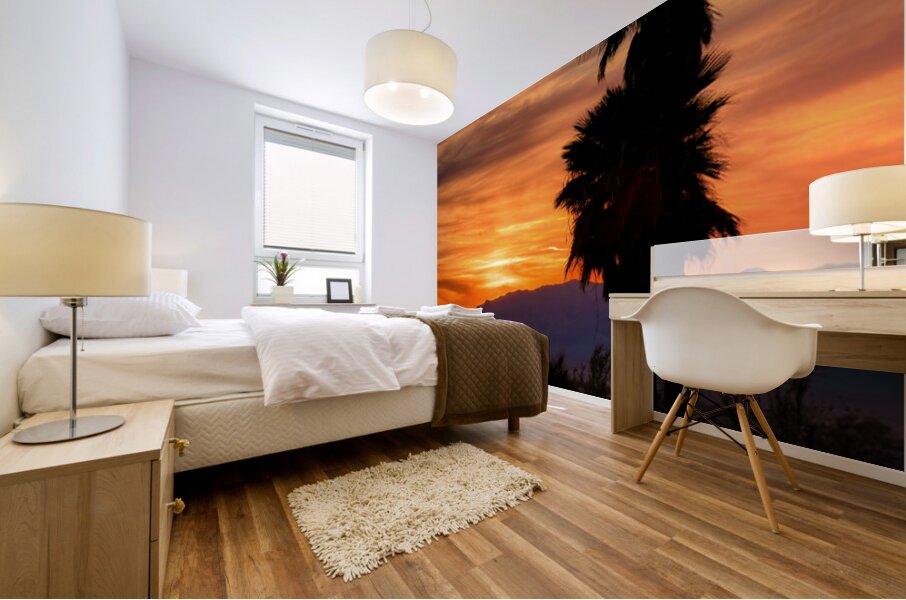 Topock Marsh Sunset Mural print