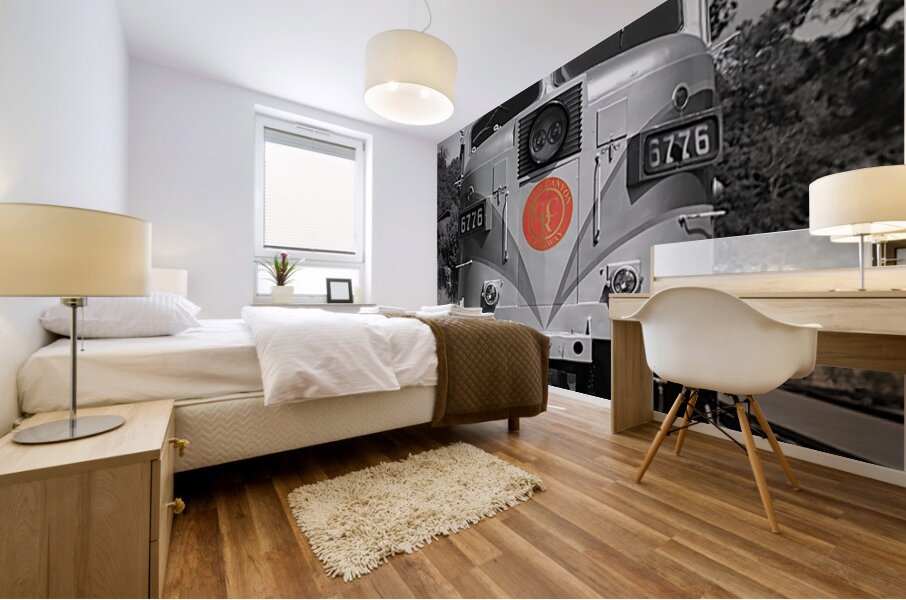 Grand Canyon Railway Mural print