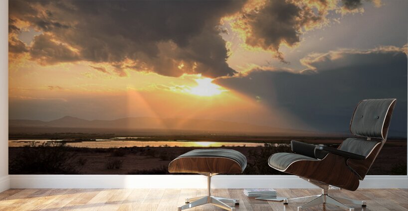 Beauty within the Storm Wall Murals